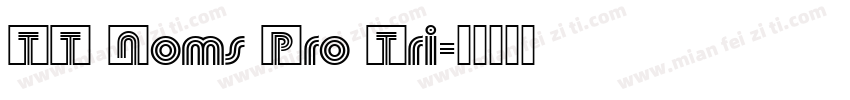 TT Noms Pro Tri字体转换